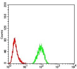 TRAF-2 Antibody (5C2C3) - BSA Free, Novus Biologicals 0.1 ml; Unconjugated:Antibodies,