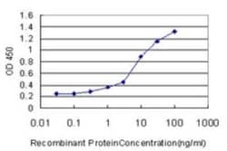 TRAP220/MED1 Antibody (2A2), Novus Biologicals 0.1 mg | Buy Online | Novus Biologicals | Fisher Scientific