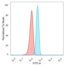 TRBP Antibody (PCRP-TARBP2-1E5) - Azide and BSA Free, Novus Biologicals