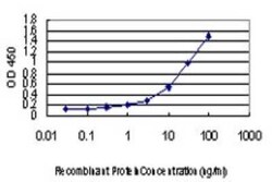 Novus Biologicals TRIB1 Antibody (4A10), Novus Biologicals 0.1 mg | Buy Online | Novus Biologicals&trade; | Fisher Scientific