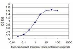 TRIM16 Antibody (5G11), Novus Biologicals 0.05 mg | Buy Online | Novus Biologicals | Fisher Scientific