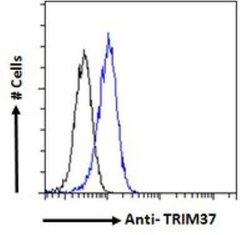 TRIM37 Antibody, Novus Biologicals 0.1 mg; Unconjugated:Antibodies, Polyclonal