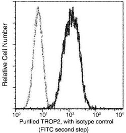 TROP-2 Rabbit anti-Human, Clone: 1, Novus Biologicals 100 &mu;g; Unconjugated:Antibodies,