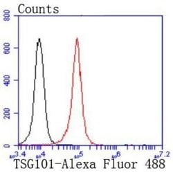 TSG101 Antibody (JJ0900), Novus Biologicals 100&mu;L:Antibodies, Monoclonal