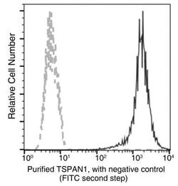 TSPAN1 Rabbit anti-Human, Clone: 10, Novus Biologicals 100 &mu;g; Unconjugated:Antibodies,