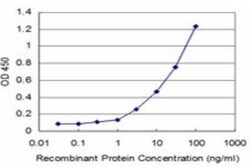 TTF2 Antibody (2B6), Novus Biologicals 0.1 mg | Buy Online | Novus Biologicals | Fisher Scientific