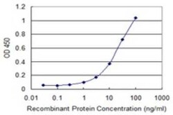 TUFM Antibody (1A2), Novus Biologicals 0.1 mg | Buy Online | Novus Biologicals | Fisher Scientific