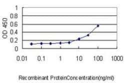 TXNDC9 Antibody (1E8-7C12), Novus Biologicals 0.1 mg | Buy Online | Novus Biologicals | Fisher Scientific
