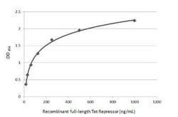 TetR Antibody, Novus Biologicals 100 &mu;g; Unconjugated:Antibodies, Polyclonal