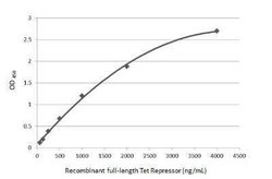 TetR Antibody, Novus Biologicals 100 &mu;g | Buy Online | Novus Biologicals | Fisher Scientific