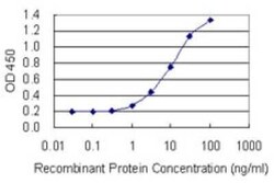Tex14 Antibody (4E4), Novus Biologicals 0.1 mg | Buy Online | Novus Biologicals | Fisher Scientific