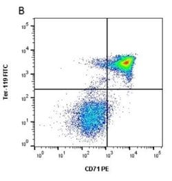 TfR (Transferrin R) Antibody (8D3) - Azide and BSA Free, Novus Biologicals:Antibodies:Primary