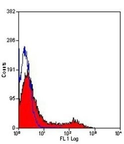 TfR (Transferrin R) Antibody (OX26) - Azide and BSA Free, Novus Biologicals