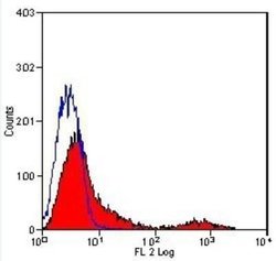 TfR (Transferrin R) Antibody (OX26) - Azide and BSA Free, Novus Biologicals