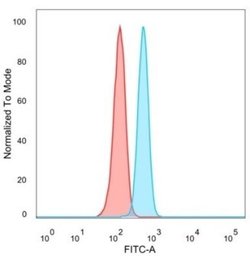 Th-POK Antibody (PCRP-ZBTB7B-1B6) - Azide and BSA Free, Novus Biologicals
