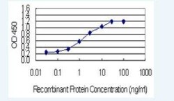 Th-POK Antibody (1D4), Novus Biologicals 100 &mu;g | Buy Online | Novus Biologicals | Fisher Scientific