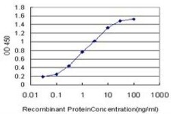 Thioredoxin-1 Antibody (2A7), Novus Biologicals 0.1 mg, Unconjugated:Antibodies,