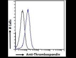 Thrombospondin-1 Antibody, Novus Biologicals 0.05 mg; Unconjugated:Antibodies,
