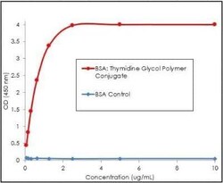 Thymidine glycol Rabbit anti-Human, Clone: B29, Novus Biologicals:Antibodies:Primary