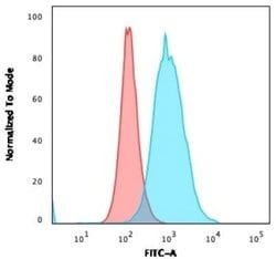 Thymidylate Synthase Mouse anti-Human, Clone: rTYMS/1884, Novus Biologicals:Antibodies:Primary