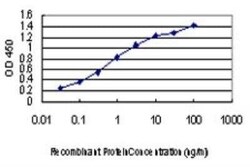 Titin Antibody (7D3), Novus Biologicals 0.1 mg, Unconjugated:Antibodies,