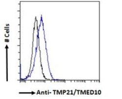 Tmp21/p23 Antibody, Novus Biologicals 0.1 mg | Buy Online | Novus Biologicals | Fisher Scientific