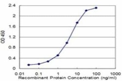 Triosephosphate isomerase Antibody (1D10-2E2), Novus Biologicals 0.1 mg | Buy Online | Novus Biologicals | Fisher Scientific