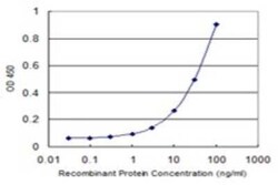 Tubulin alpha-1B Antibody (2E8), Novus Biologicals 0.1 mg | Buy Online | Novus Biologicals | Fisher Scientific