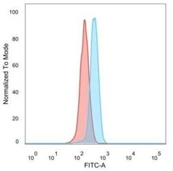 UBR2 Mouse anti-Human, Clone: PCRP-UBR2-1D12, Novus Biologicals:Antibodies:Primary