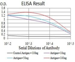 UFD1L Antibody (2A6F3) - BSA Free, Novus Biologicals 0.1 ml; Unconjugated:Antibodies,