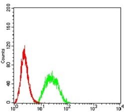 UFD1L Antibody (2A6F3) - BSA Free, Novus Biologicals 0.1 ml; Unconjugated:Antibodies,