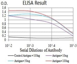 UHRF1 Antibody (1A1B1) - BSA Free, Novus Biologicals:Antibodies:Primary