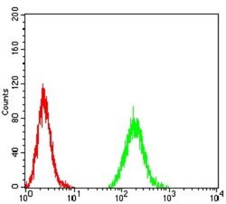 UHRF1 Antibody (1A1B1) - BSA Free, Novus Biologicals:Antibodies:Primary