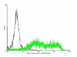 ULBP-2 Antibody, Novus Biologicals 0.05 mg | Buy Online | Novus Biologicals | Fisher Scientific