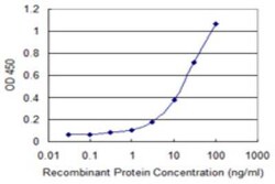 ULBP-4/RAET1E Antibody (2D11), Novus Biologicals 0.1 mg | Buy Online | Novus Biologicals | Fisher Scientific
