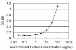USP6 Antibody (1F5), Novus Biologicals 0.1 mg, Unconjugated:Antibodies,