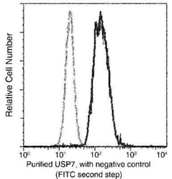 USP7 Antibody (03), Novus Biologicals 50 &mu;g; Unconjugated:Antibodies,