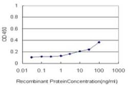 UbcH5c/UBE2D3 Antibody (4C1-1E3), Novus Biologicals 0.1 mg; Unconjugated:Antibodies,