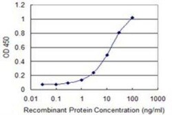 Uromodulin Antibody (3F10), Novus Biologicals 0.1 mg | Buy Online | Novus Biologicals | Fisher Scientific