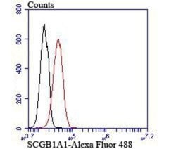 Uteroglobin/SCGB1A1 Antibody (JU34-03), Novus Biologicals 100 &mu;l; Unconjugated:Antibodies,