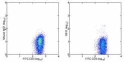 V alpha 24 J alpha 18 TCR Antibody (6B11) - BSA Free, Novus Biologicals:Antibodies:Primary