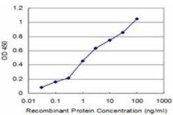 VAMP-1 Antibody (5F3), Novus Biologicals 0.1 mg | Buy Online | Novus Biologicals | Fisher Scientific