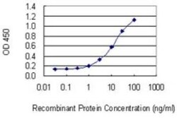 VAX1 Antibody (2F4), Novus Biologicals 0.1 mg | Buy Online | Novus Biologicals | Fisher Scientific