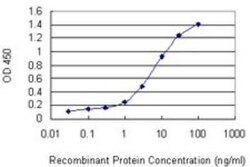 VCX3A Antibody (6A3), Novus Biologicals 0.1 mg, Unconjugated:Antibodies,