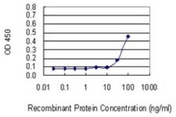 VDAC2 Antibody (3D2), Novus Biologicals 0.1 mg | Buy Online | Novus Biologicals | Fisher Scientific