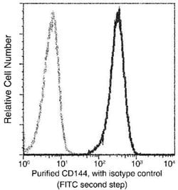 VE-Cadherin Rabbit anti-Human, Clone: 48, Novus Biologicals:Antibodies:Primary