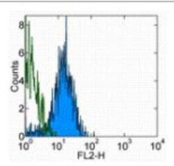 VE-Cadherin Antibody (BV13) - BSA Free, Novus Biologicals 0.05 mg | Buy Online | Novus Biologicals | Fisher Scientific