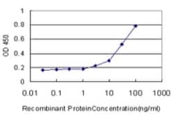 VE-Statin/EGFL7 Antibody (3G1), Novus Biologicals 0.1 mg | Buy Online | Novus Biologicals | Fisher Scientific