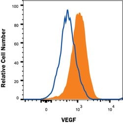 Human VEGF Antibody, R D Systems:Antibodies:Primary Antibodies