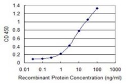 VGLL1 Antibody (3C7), Novus Biologicals 0.1 mg | Buy Online | Novus Biologicals | Fisher Scientific